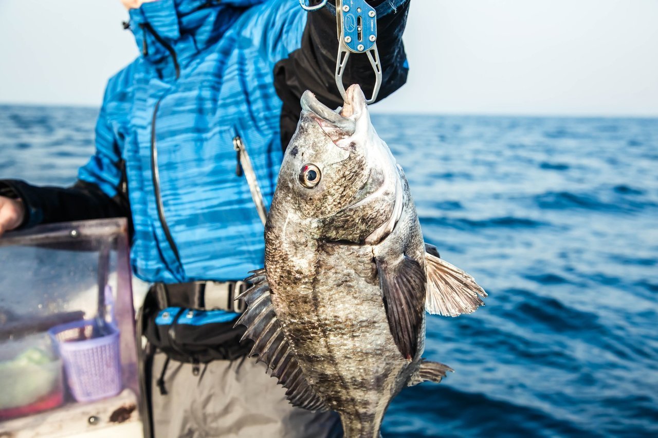 チニングの写真