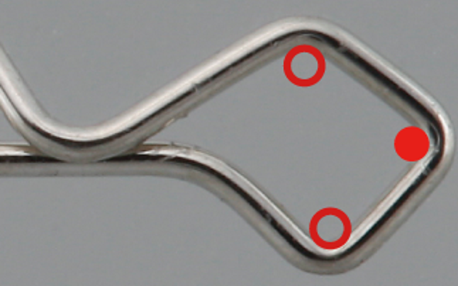 スナップ　写真