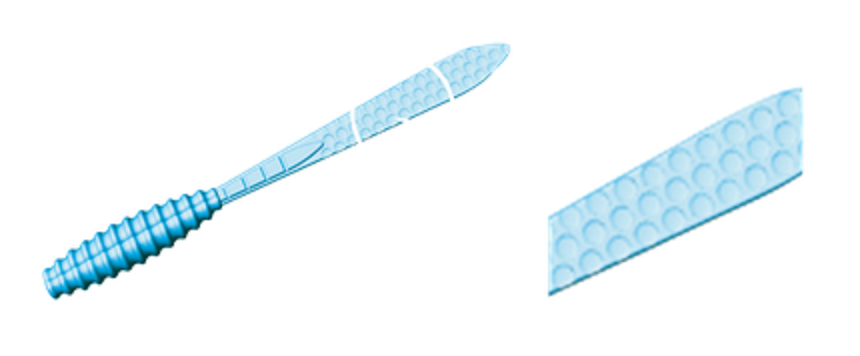 ワーム イラスト