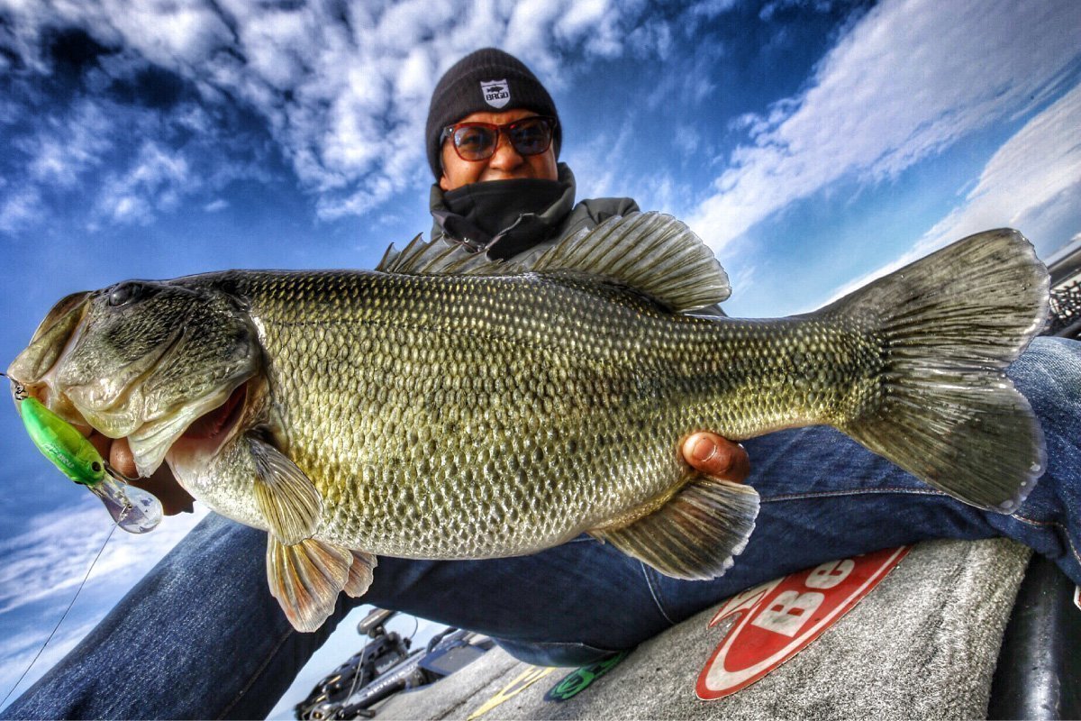 木村建太さんとブラックバスの写真
