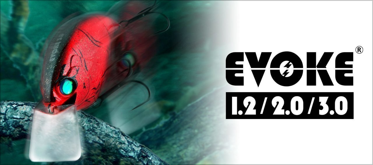 デプスのルアー「イヴォーク2.0/1.2」の写真