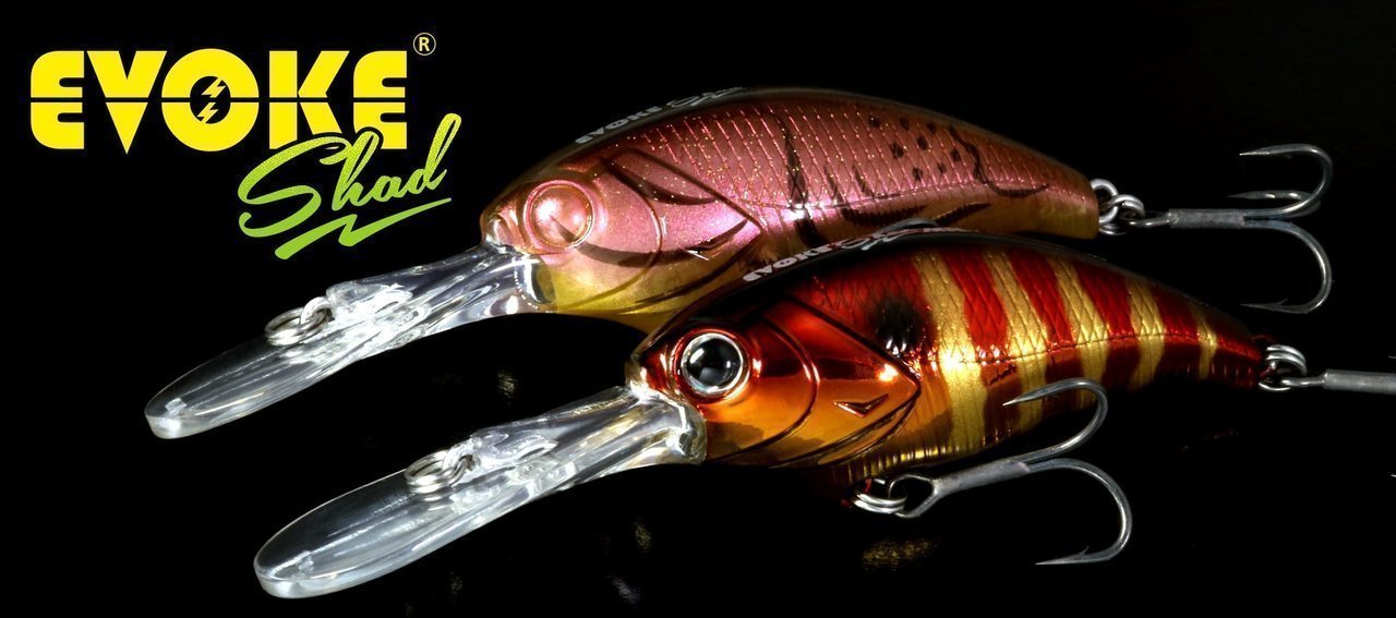 デプスのルアー「イヴォークシャッド」の写真