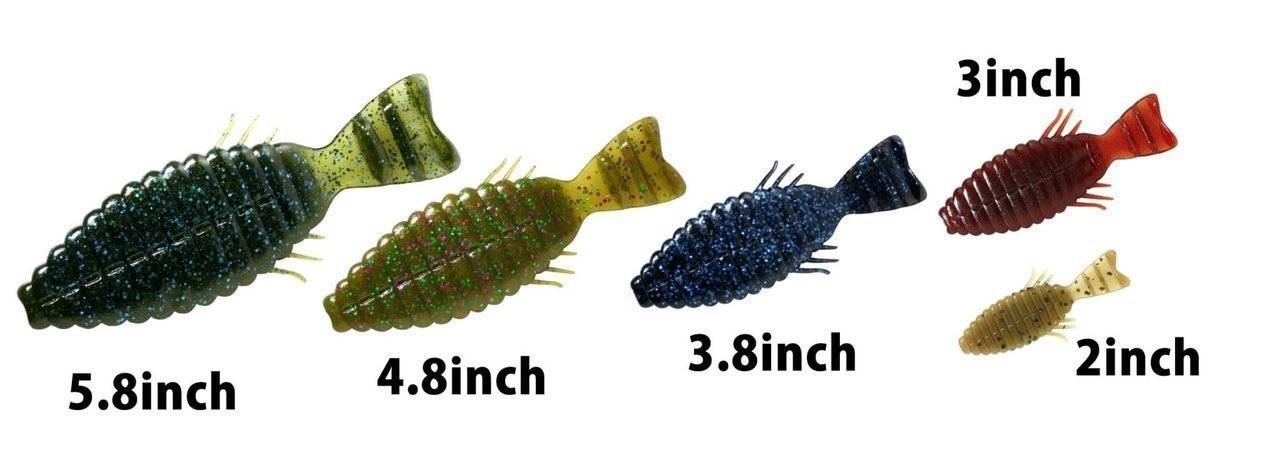 デプスのワーム「ブルフラット」の写真