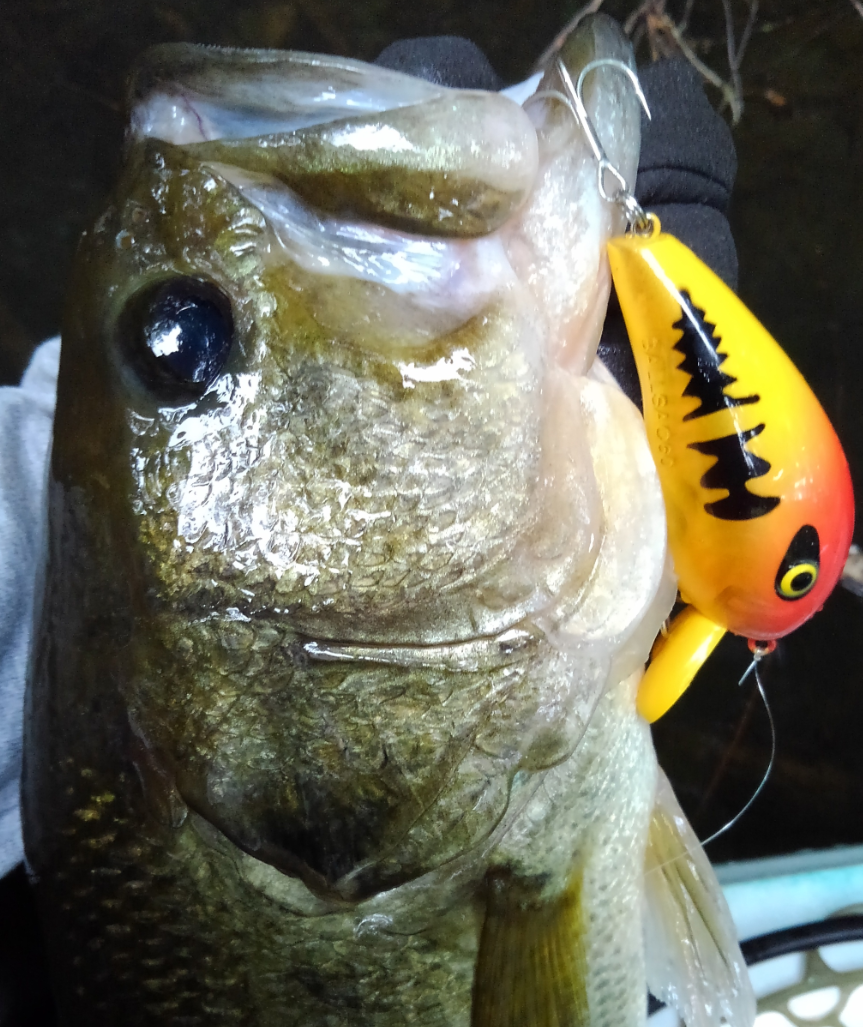 ブラックバス　ルアー　写真