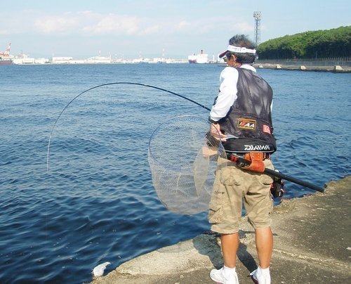 釣り人　男性　釣り竿　タモ　海　埠頭　写真