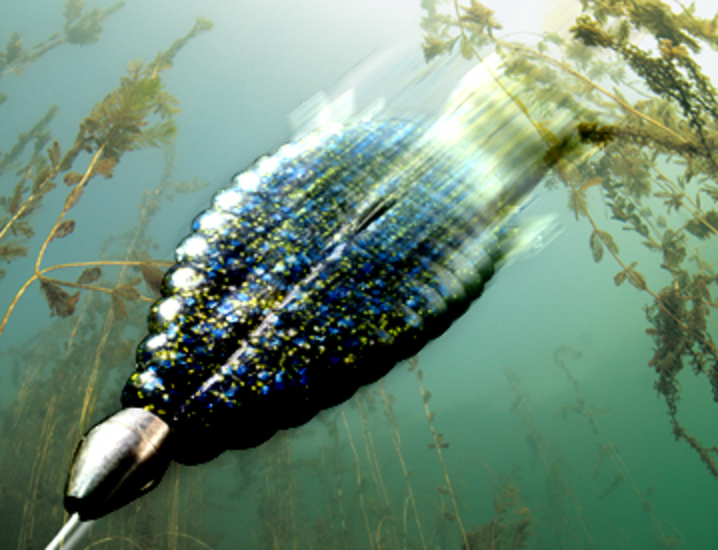 ブルフラットをテキサスリグにセットした写真