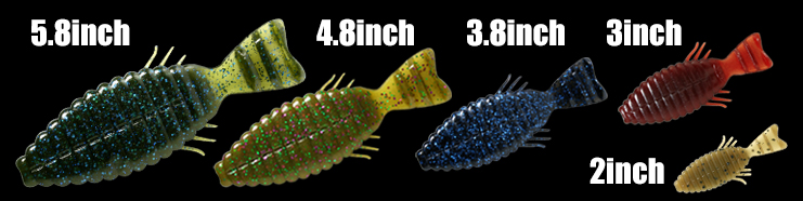 ブルフラットの設定サイズ写真