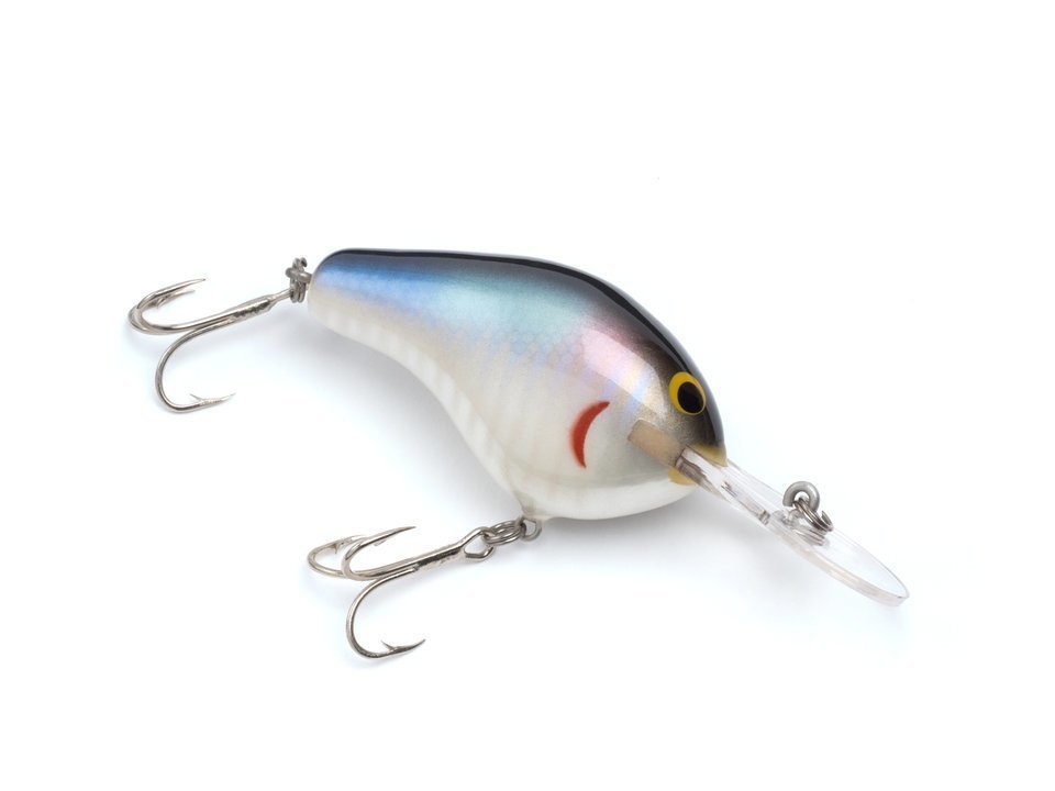 クランクベイトの写真