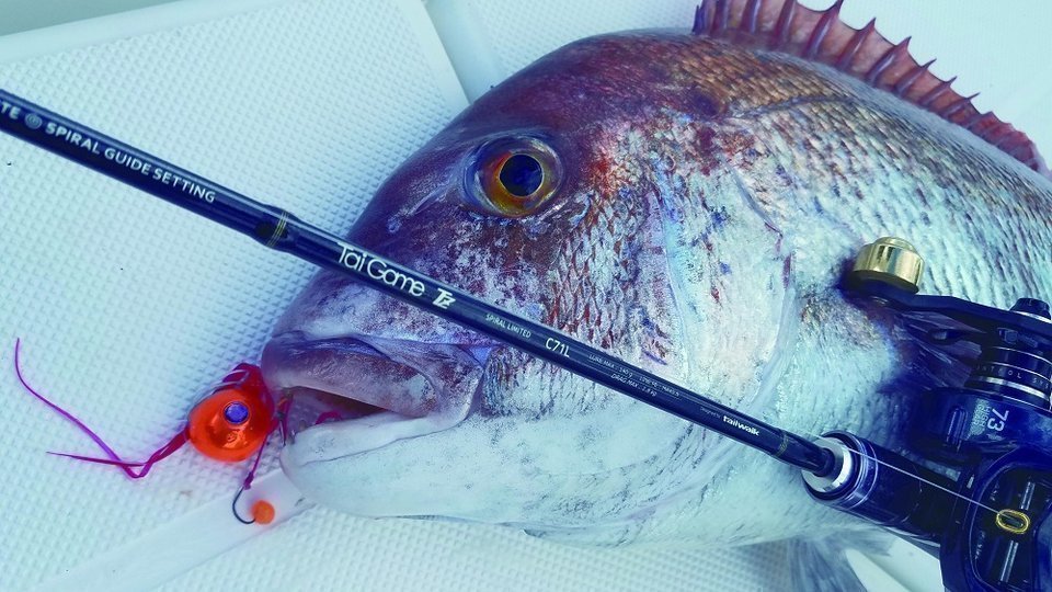 マダイとタイゲームTZの写真