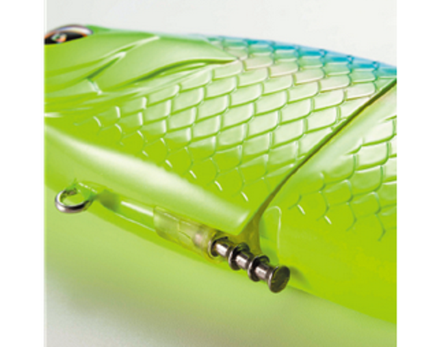 腹部　シンカー　写真