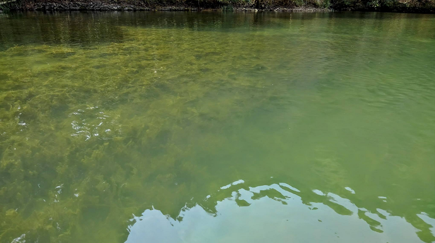 ブレイク　写真