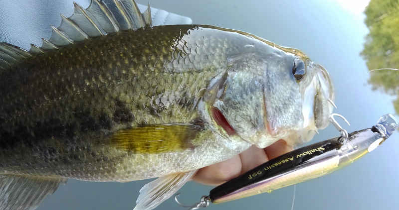 バス　ルアー　写真