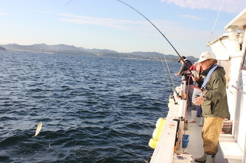 釣り人 男性 釣船 海 空 フグ 写真