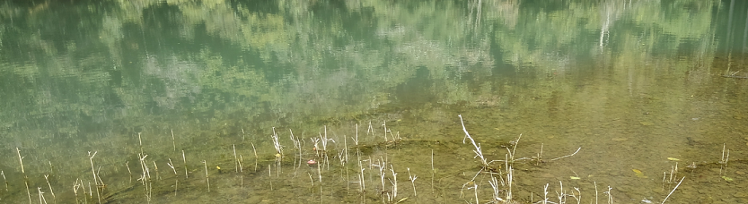 ブレイクライン　写真