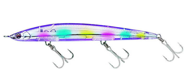 シンペンの側面写真