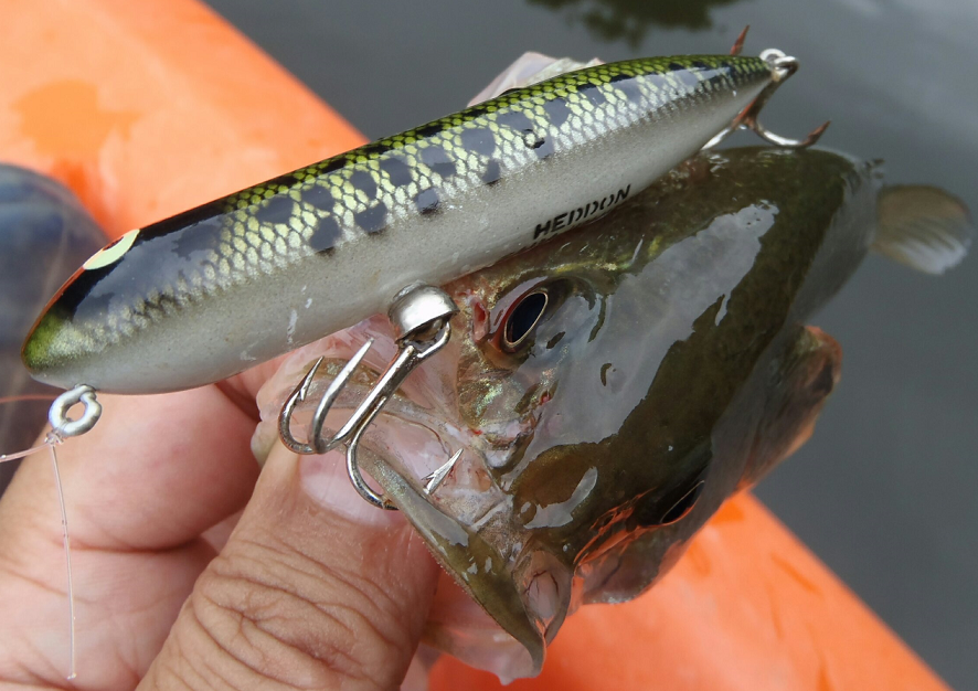 バス　ルアー　写真