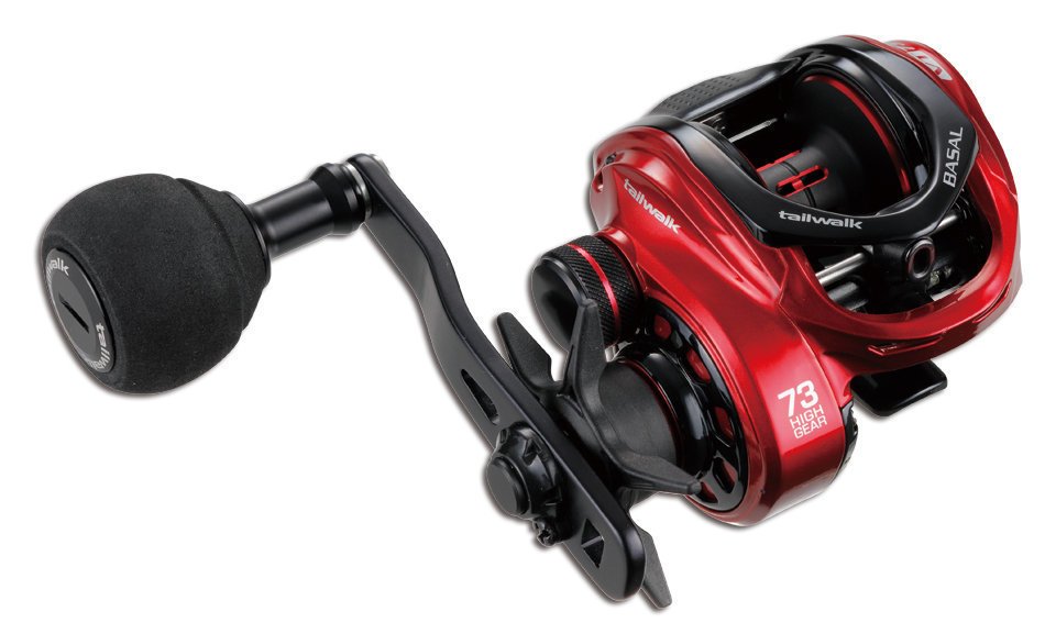 バサルバーチカルモデルの写真