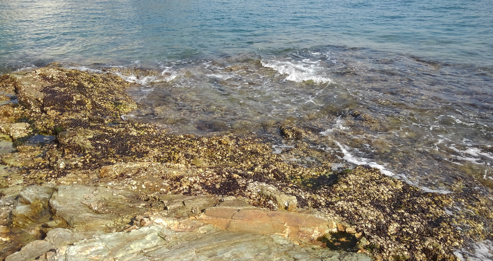 干潮時の海岸線写真