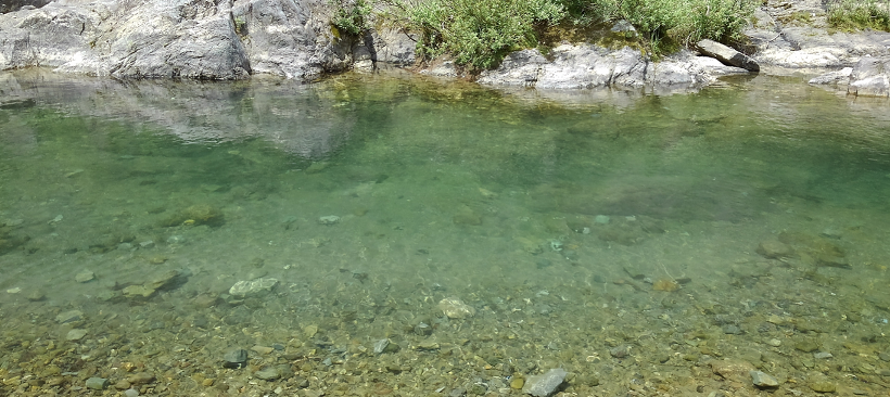 渓流でもバスは釣れる 河川の上流部にまで上っているバスを探してみよう
