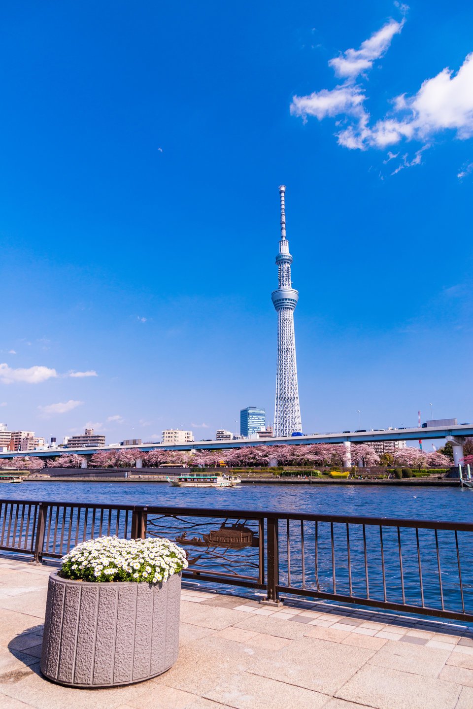 釣り禁止エリアに注意 東京の隅田川 東京港で釣りはできるのか 注意事項もまとめてご紹介