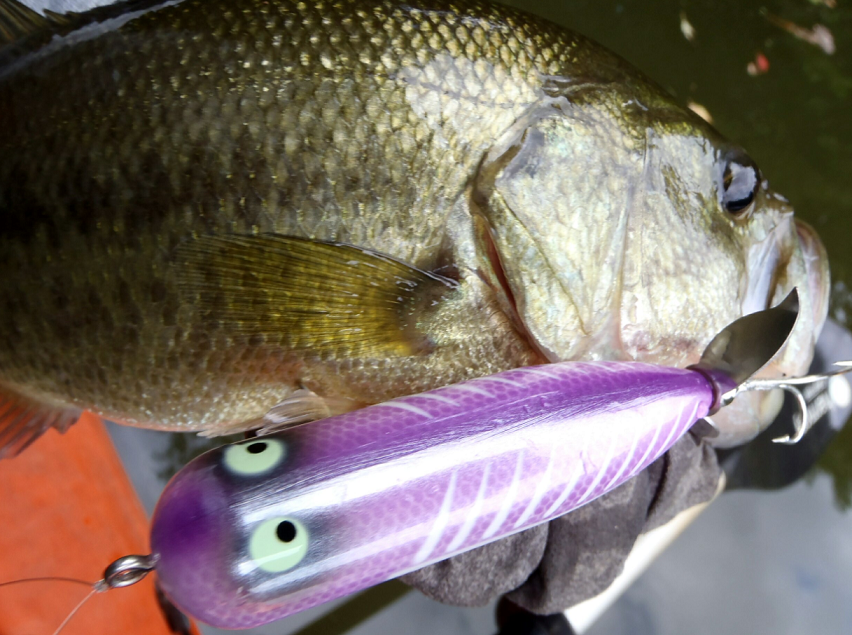 バス ルアー 写真