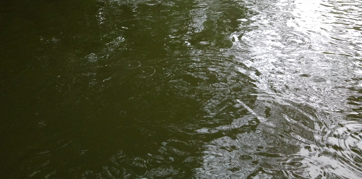 エギングが雨の日に向かないかどうか検証してみた アオリイカを雨の日に釣ってみよう
