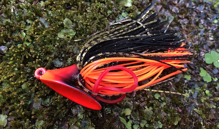 独特のデサインを纏ったシャトル