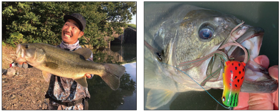 ルアー　バス　写真