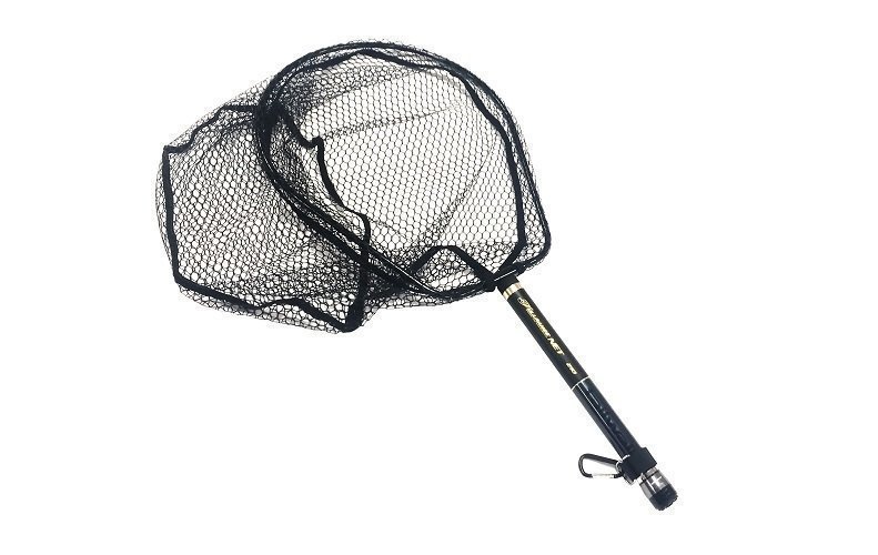 ランディングネットの写真