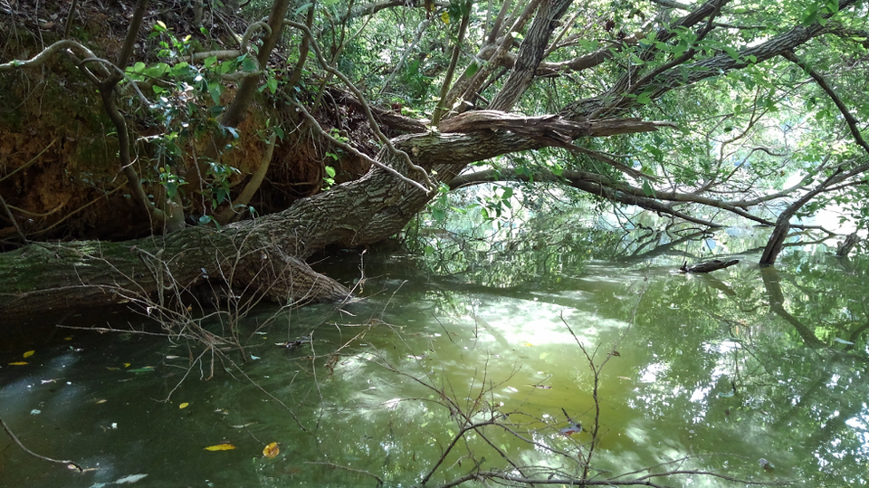 オーバーハング　写真