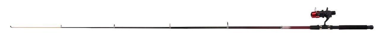 ロッド全体の写真