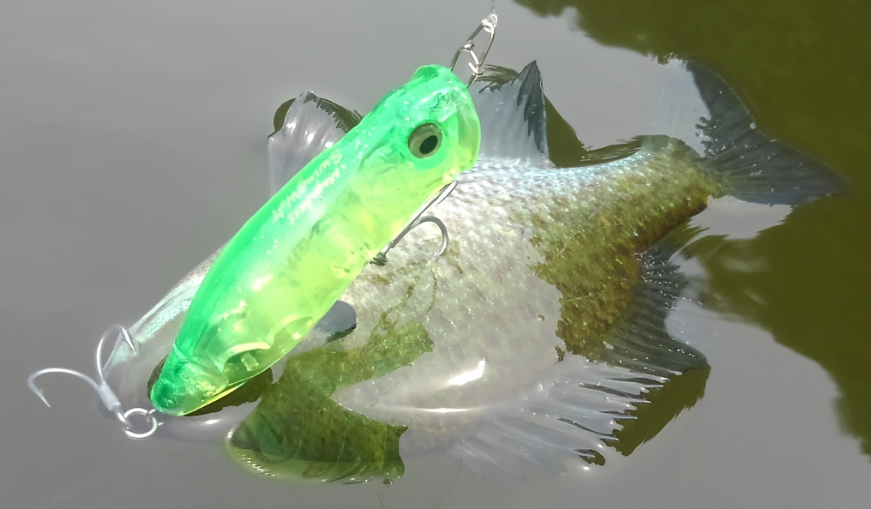 ギル　ルアー　写真