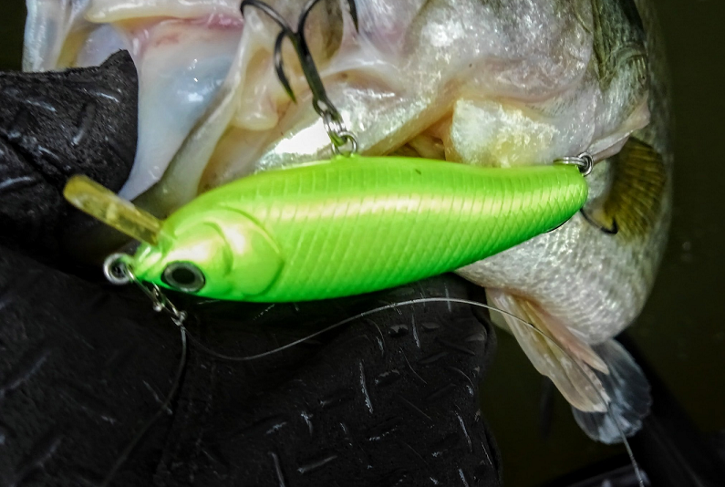 ルアー バス 写真