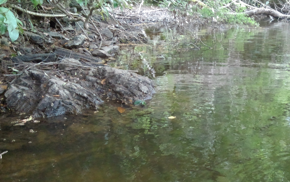 岬周りでバスを釣ろう!水通しの良い岬攻略におすすめのルアー特集