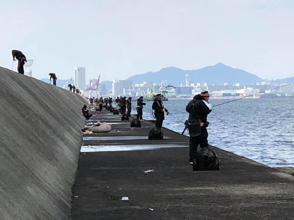 海　堤防　釣り人