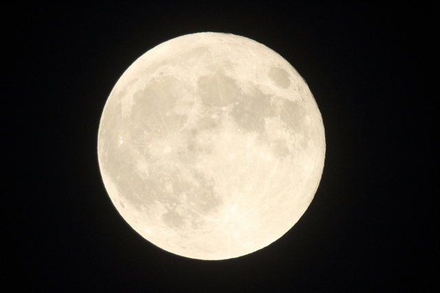 月　釣り　バス釣り