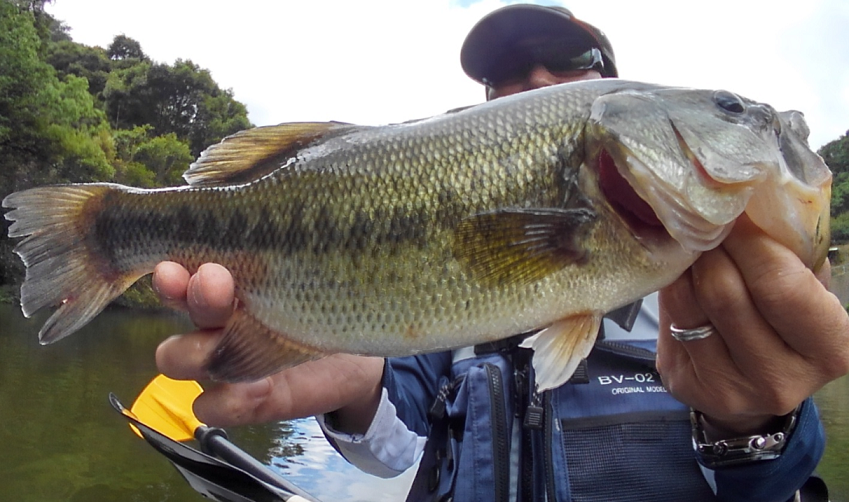 バス　釣り人　写真