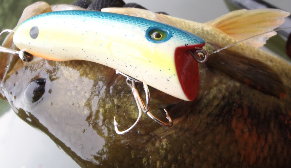 バス　ルアー　写真