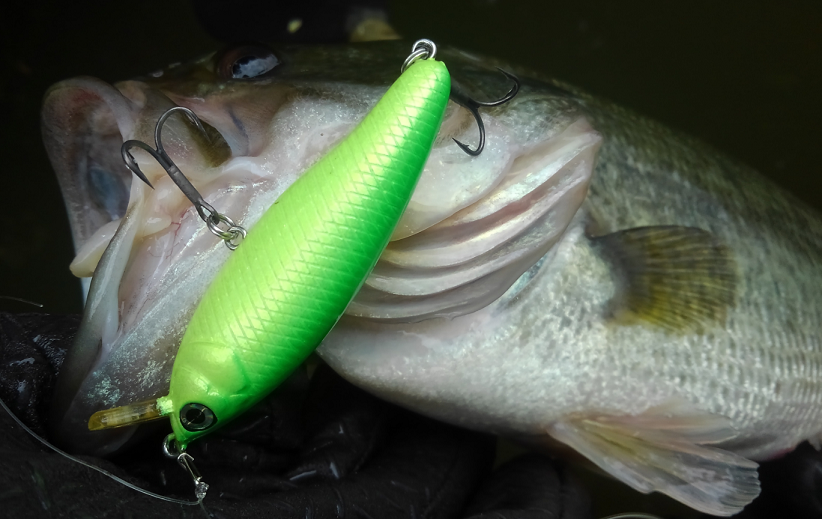 バス　ルアー　写真