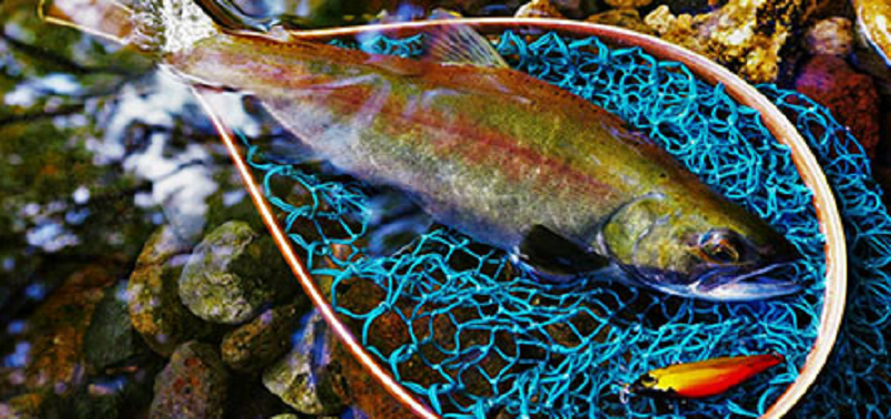 魚　ネット　ルアー　写真