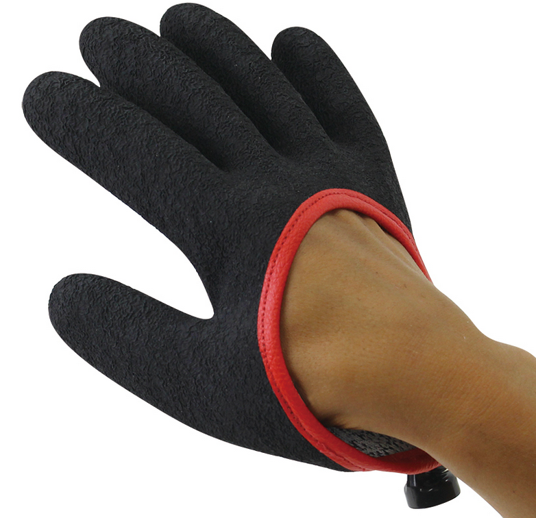 グローブ　写真