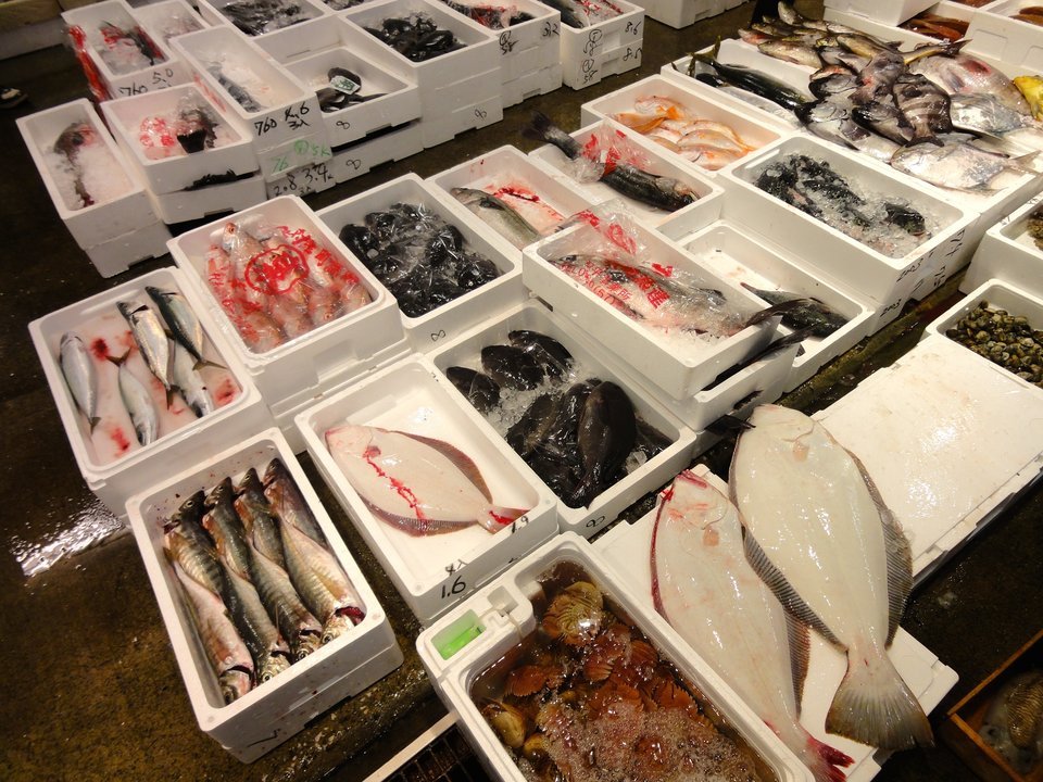 魚　市場　写真