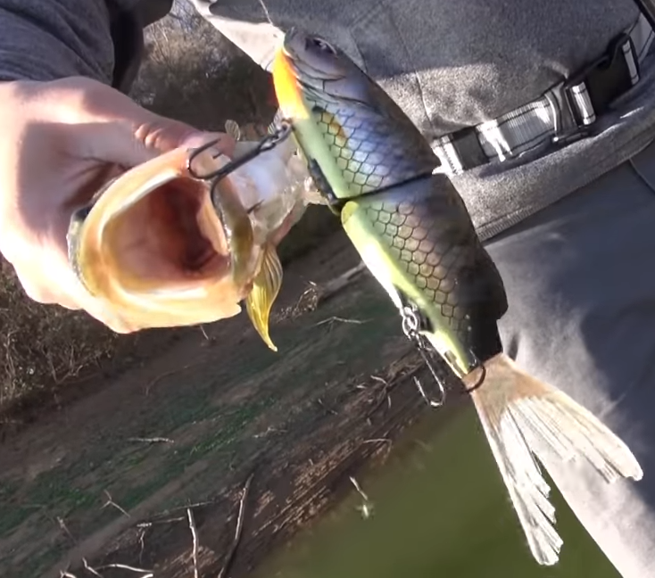 バス　ルアー　写真