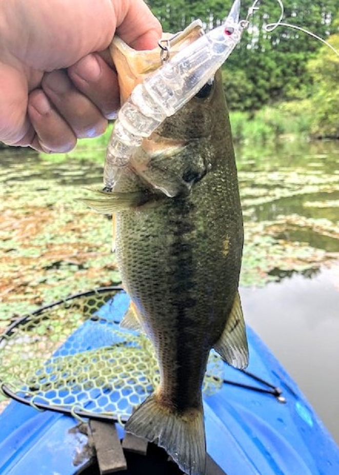 バス ルアー 写真