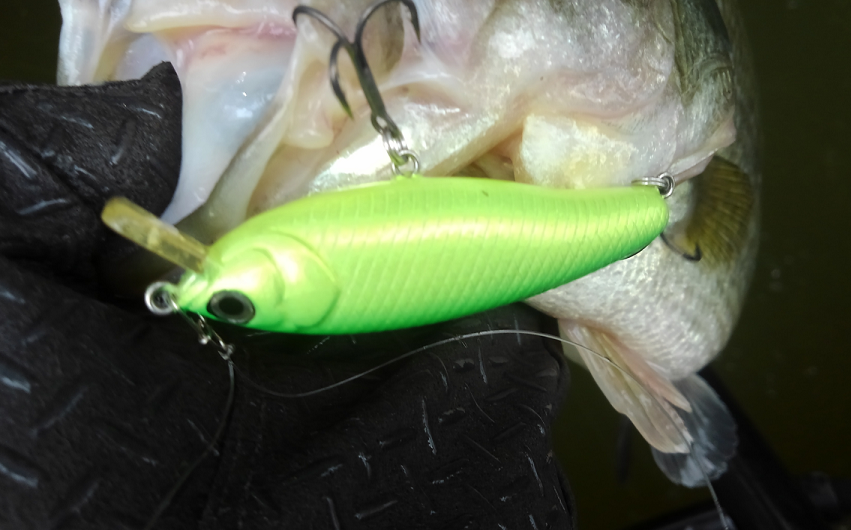 ルアー　バス　写真