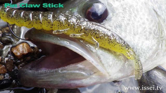 フワ釣り　バス　ピンクロウスティック　スティックベイト　写真