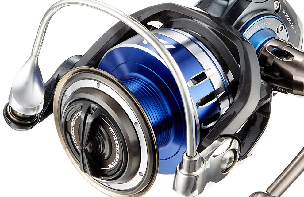 ソルティガリールの写真