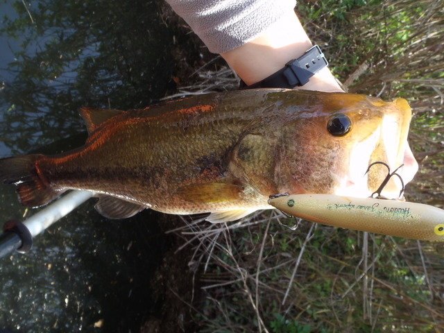浮くルアー　沈むルアー
