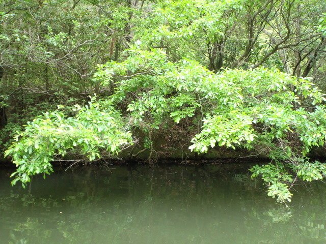 オーバーハング ポイント