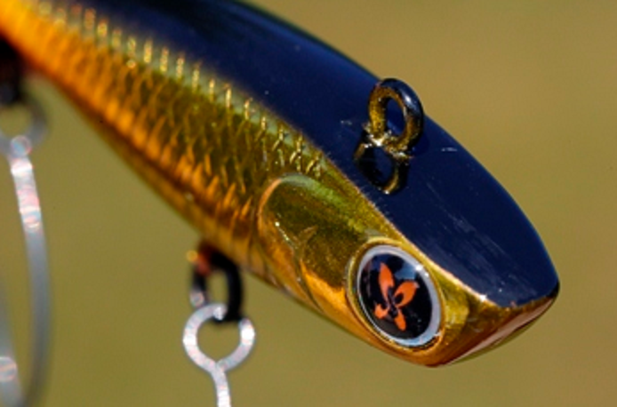 ルアー　写真